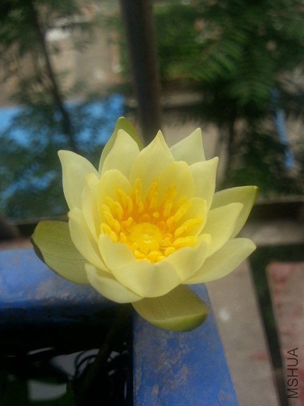 20130609_124532_����.jpg