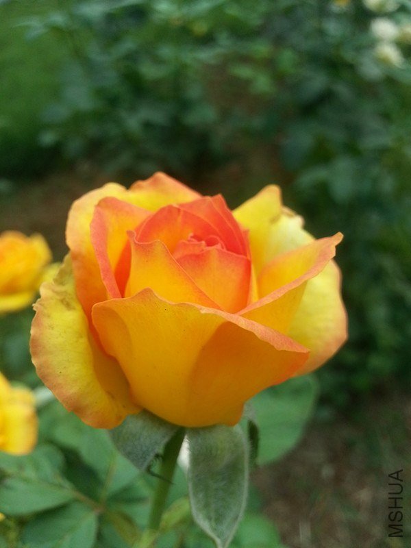 20130622_074820_����.jpg