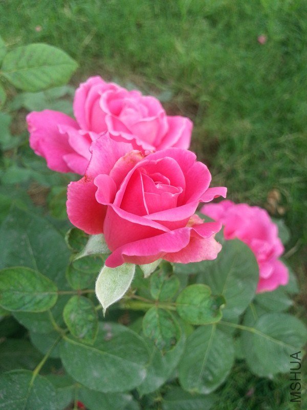 20130622_074908_����.jpg