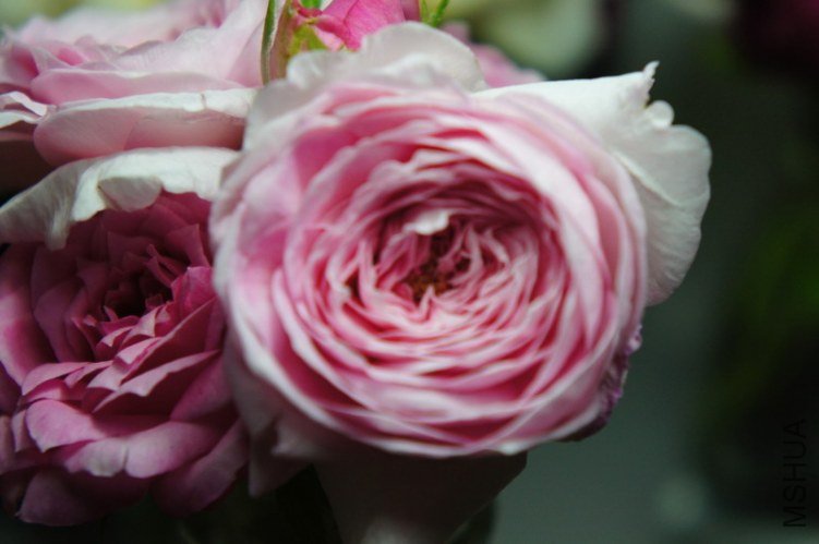 DSC09573.JPG