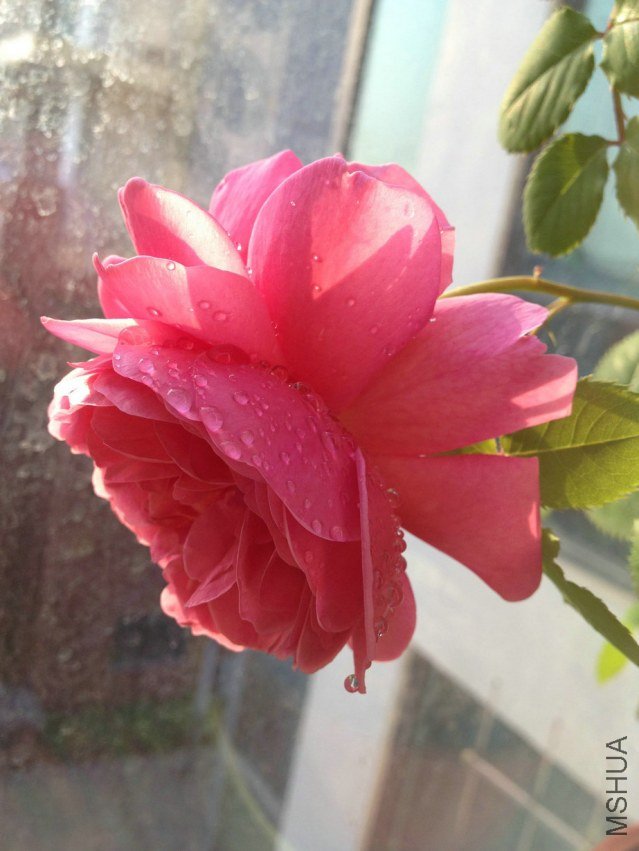 6 ���ع���2.jpg