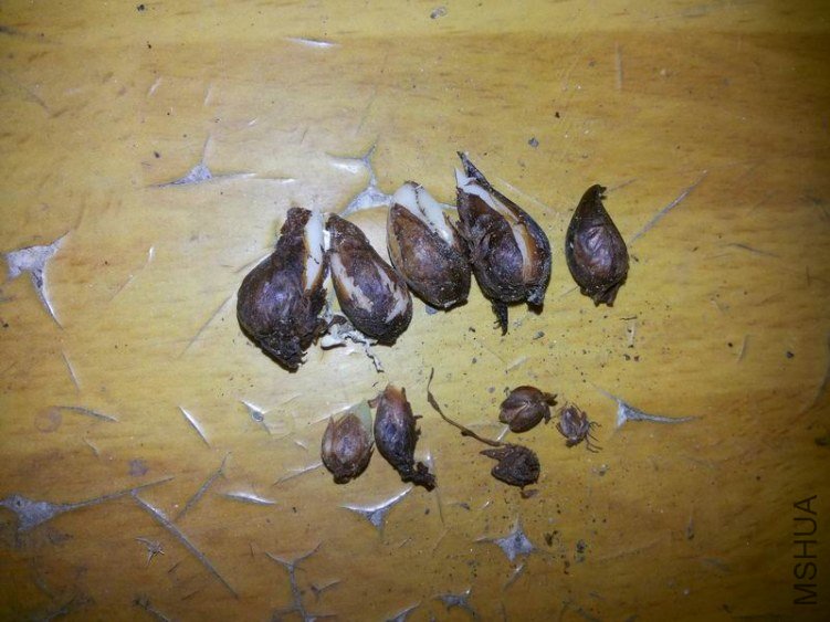 ������С 20130626_082244.jpg