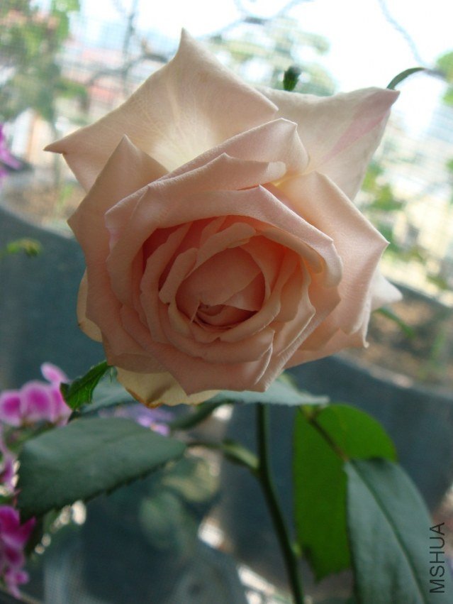 DSC02059.JPG