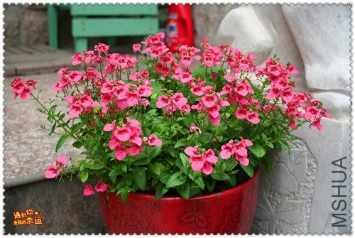 ��Ƭ 002_����.jpg