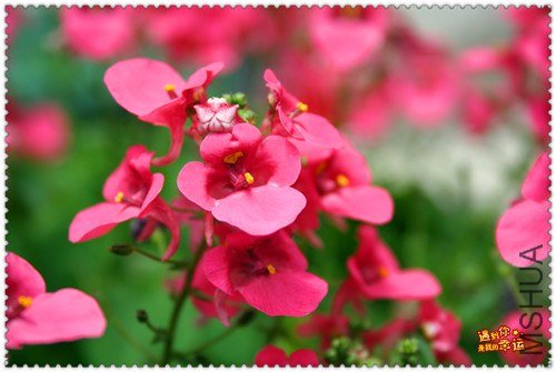 ��Ƭ 005_����.jpg