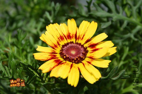 ��Ƭ 050_����.jpg