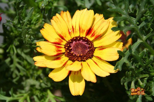 ��Ƭ 051_����.jpg