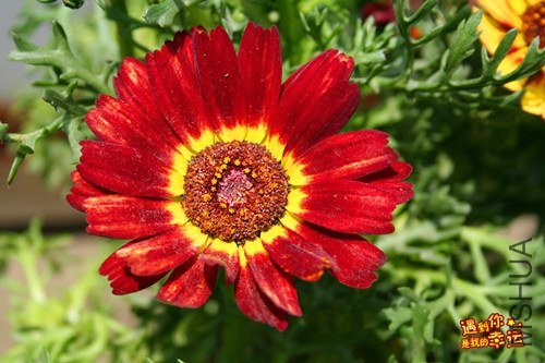 ��Ƭ 052_����.jpg