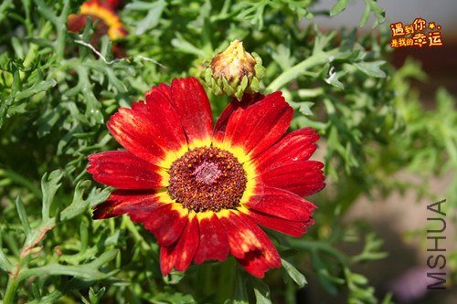 ��Ƭ 053_����.jpg