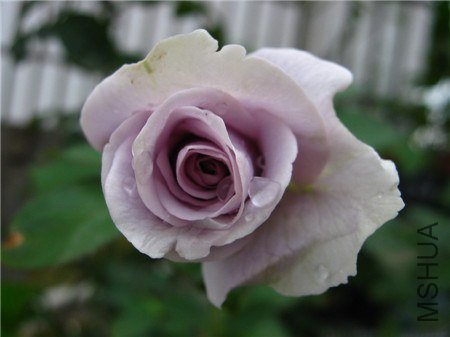 IMG_2783.jpg