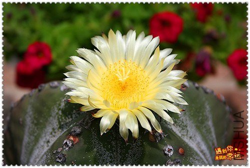 ��Ƭ 183_����.jpg