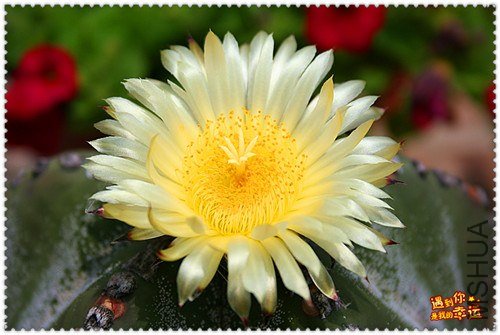 ��Ƭ 186_����.jpg