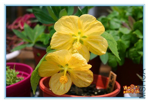 ��Ƭ 209_����.jpg