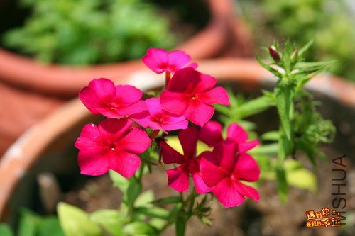 ��Ƭ 022_����.jpg