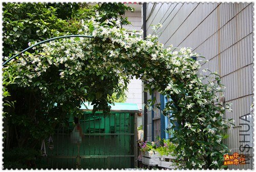 ��Ƭ 032_����.jpg