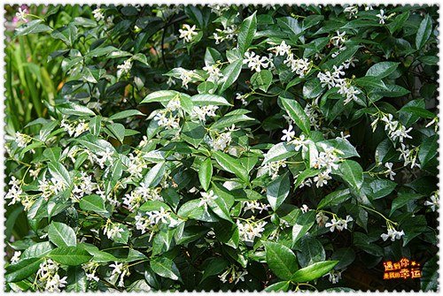 ��Ƭ 033_����.jpg