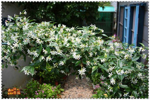 ��Ƭ 054_����.jpg