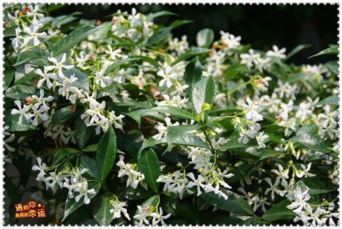 ��Ƭ 055_����.jpg