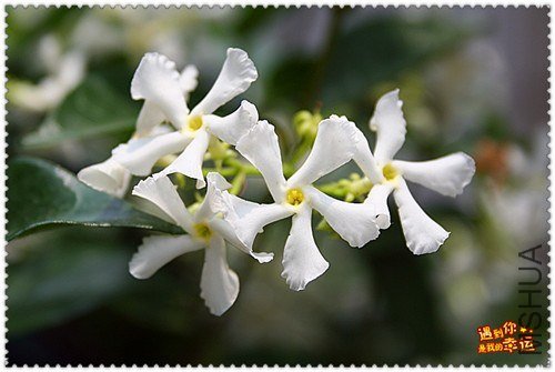 ��Ƭ 058_����.jpg