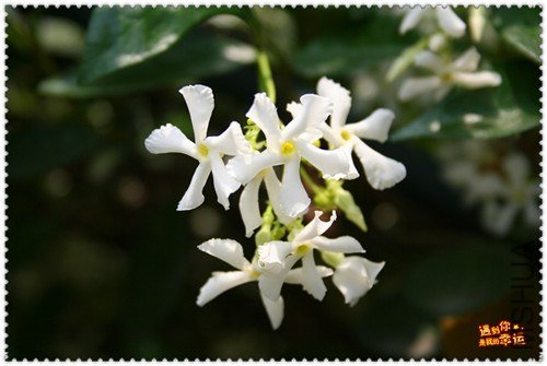 ��Ƭ 060_����.jpg