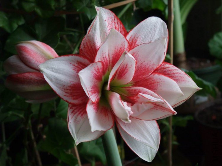 ������С �����.jpg