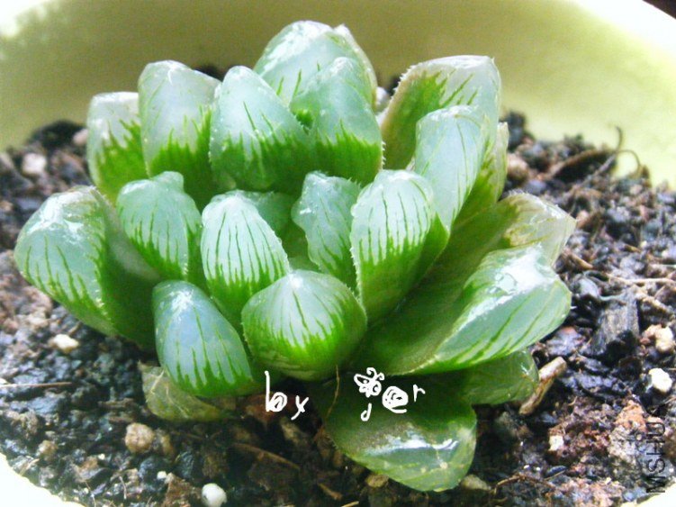 DSCF7663_����.jpg