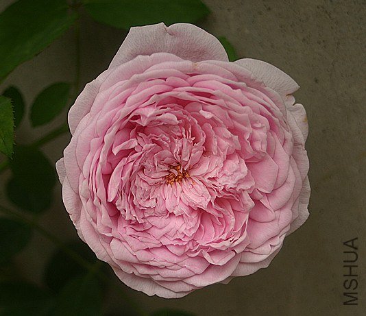 ����������쿪��