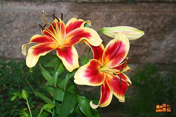 ��Ƭ 002_����.jpg