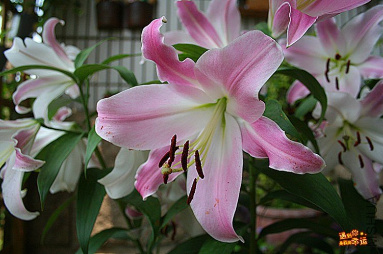 ��Ƭ 012_����.jpg