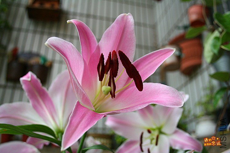 ��Ƭ 013_����.jpg