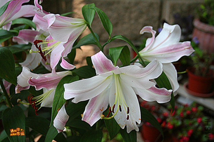 ��Ƭ 015_����.jpg