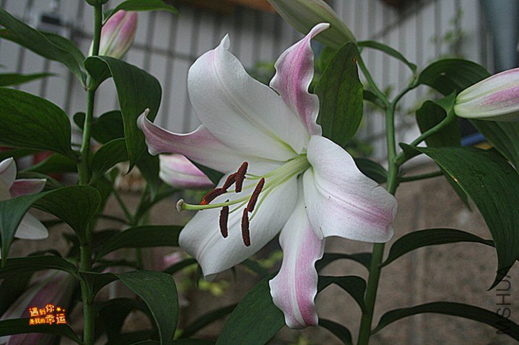 ��Ƭ 016_����.jpg