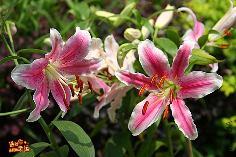 ��Ƭ 017_����.jpg