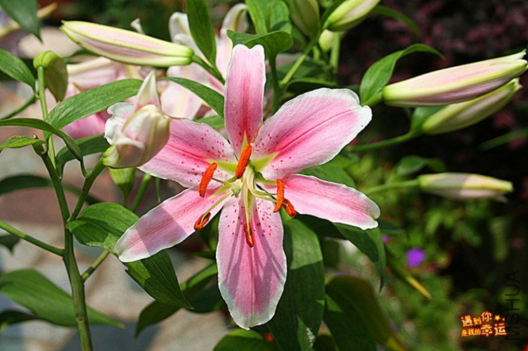 ��Ƭ 018_����.jpg