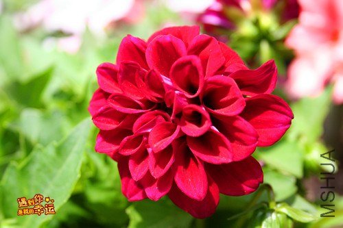 ��Ƭ 074_����.jpg