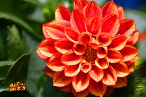 ��Ƭ 080_����.jpg