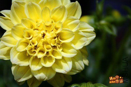 ��Ƭ 081_����.jpg