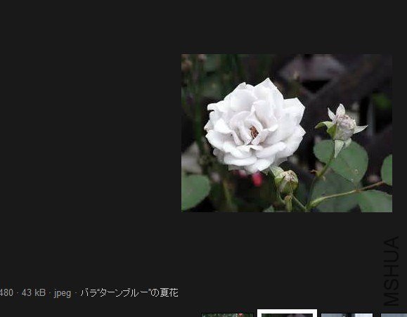 QQͼƬ20130628194006.jpg
