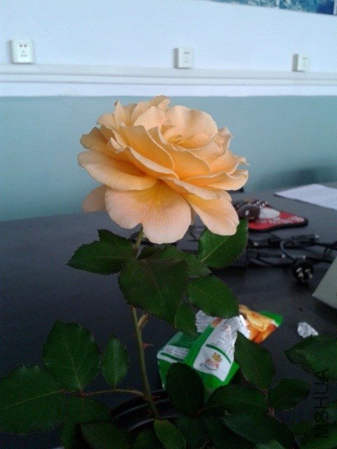 20130630_093519.jpg