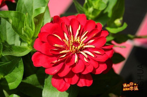 ��Ƭ 070_����.jpg