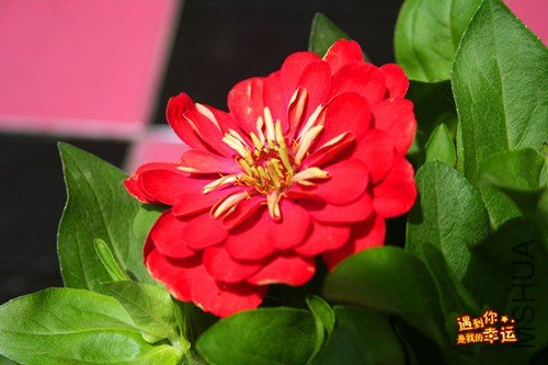 ��Ƭ 071_����.jpg