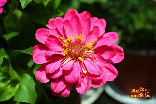 ��Ƭ 072_����.jpg