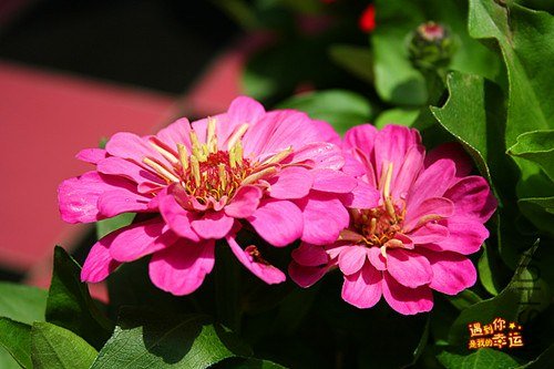 ��Ƭ 073_����.jpg