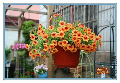 ��Ƭ 134_����.jpg