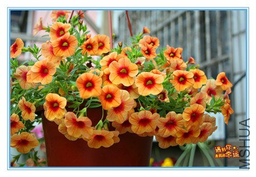 ��Ƭ 135_����.jpg