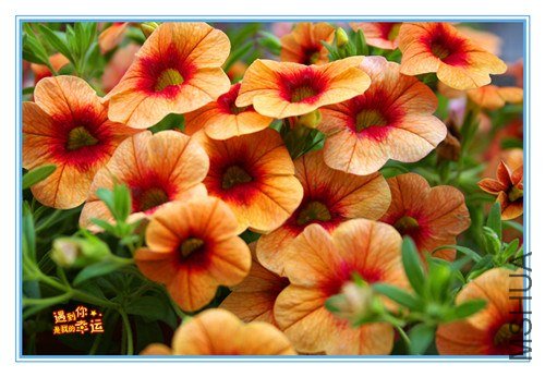 ��Ƭ 137_����.jpg