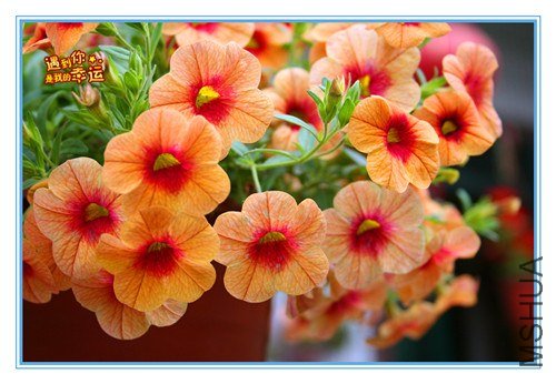 ��Ƭ 140_����.jpg