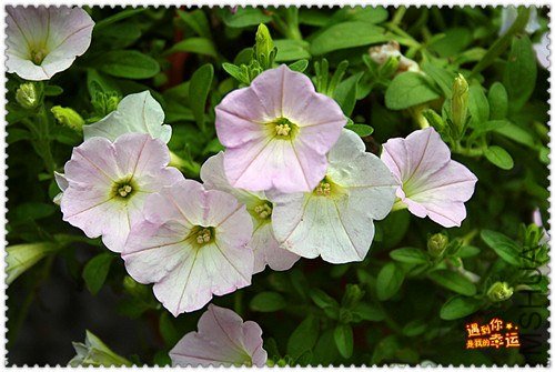 ��Ƭ 152_����.jpg