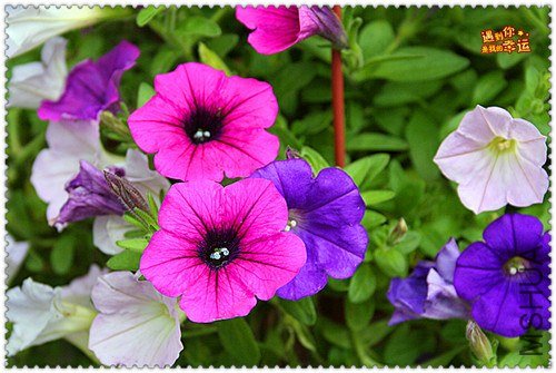 ��Ƭ 146_����.jpg