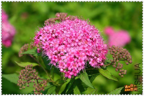 ��Ƭ 065_����.jpg